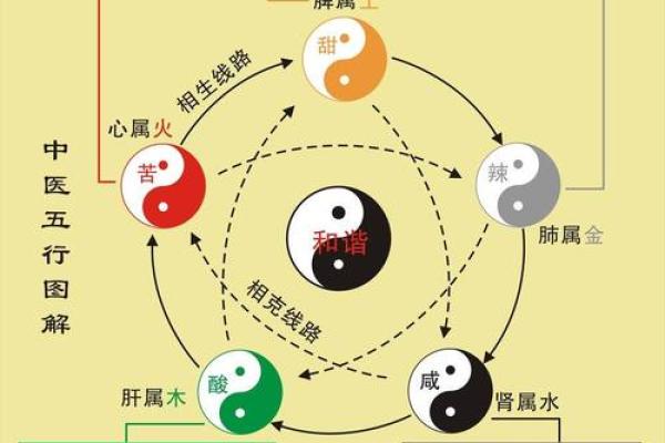 中国风水文化_易经黄帝内经和道德经式微的根源是什么