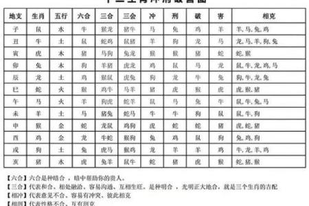 生肖算命婚姻，十二生肖什么属相和龙最配