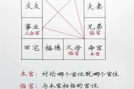 紫薇斗数术语逢
