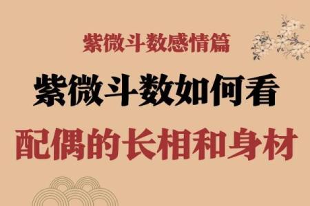 紫薇斗数看减肥