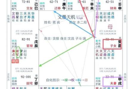 紫薇星盘星曜解析详解图