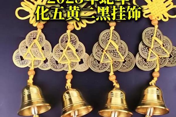 风水八帝钱化解二黑的作用和使用方法