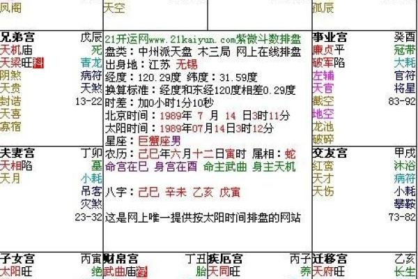 紫薇斗数奏书
