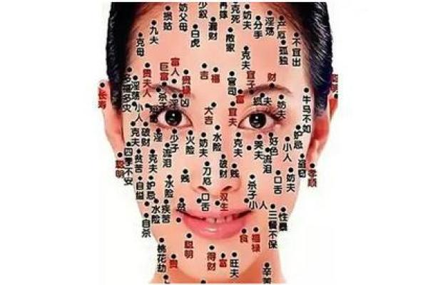 面部胎记算命