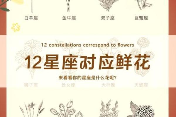 十二星座合适养什么绿植