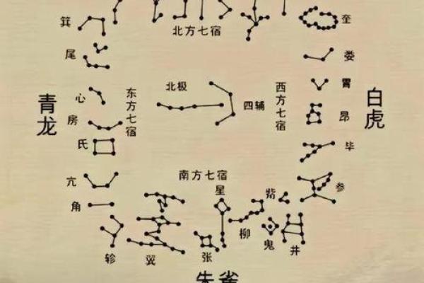 紫薇斗数星宿详解