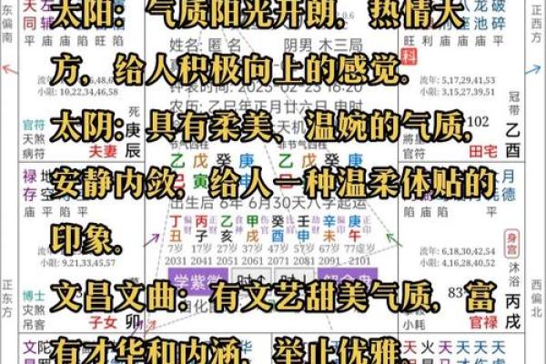粤启明紫薇斗数
