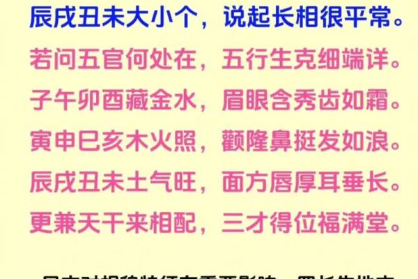 聪明的八字