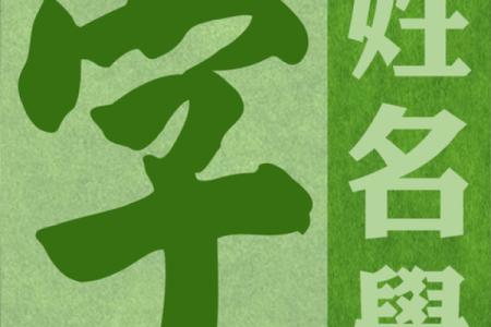 公司名打分测试100分免费打分