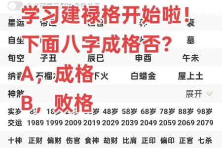建禄格八字