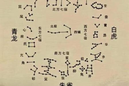 紫薇斗数星宿详解