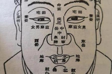 男人面相痣算命图解大全