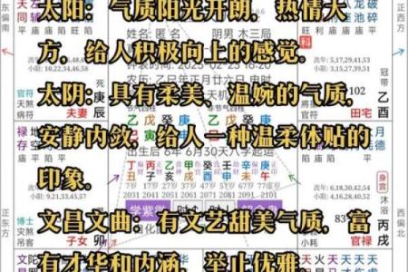 粤启明紫薇斗数