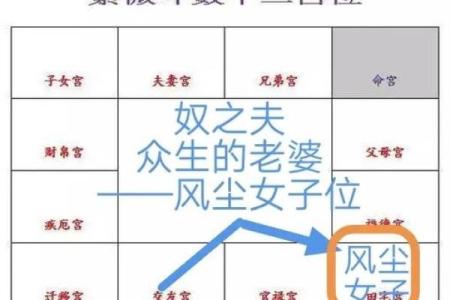 紫薇斗数看田产