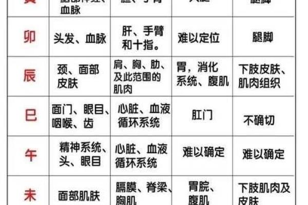 八字干支身体部位对照表