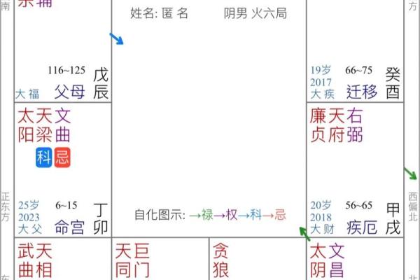 紫薇斗数中的年解