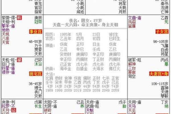 紫薇斗数新浪博客