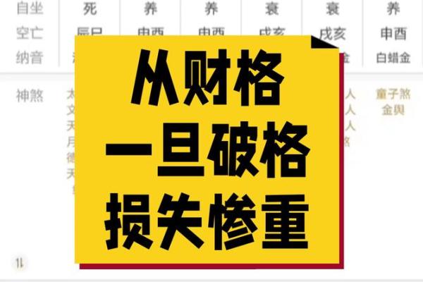 八字从财格局