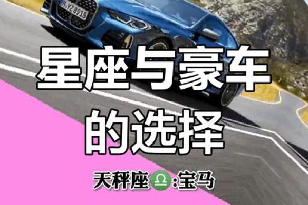 十二星座最适合的车排名图片