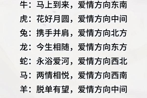 测一测姓名配对爱情指数,姓名配对缘分测试98%