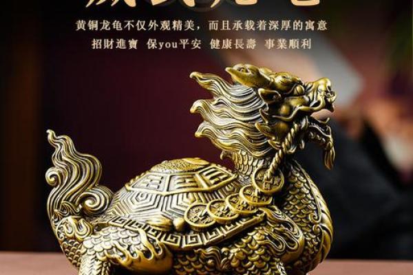 家中风水龙龟的摆放方法及禁忌