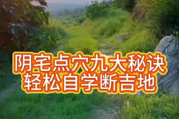 阴宅坟墓风水铁口直断直指要害
