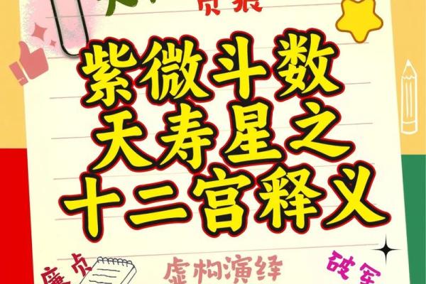 紫薇斗数有个叫天什么