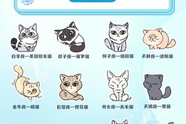 十二星座双子适合养猫狗嘛