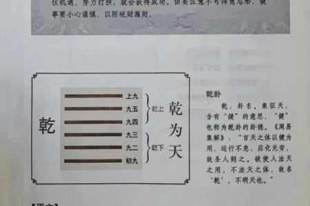 紫微斗数之八卦万物类象：乾卦详解