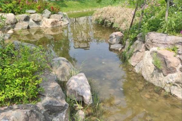 小公园风水