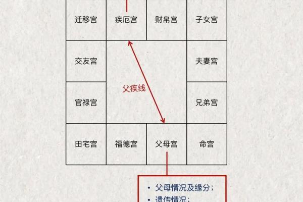 紫薇斗数意思