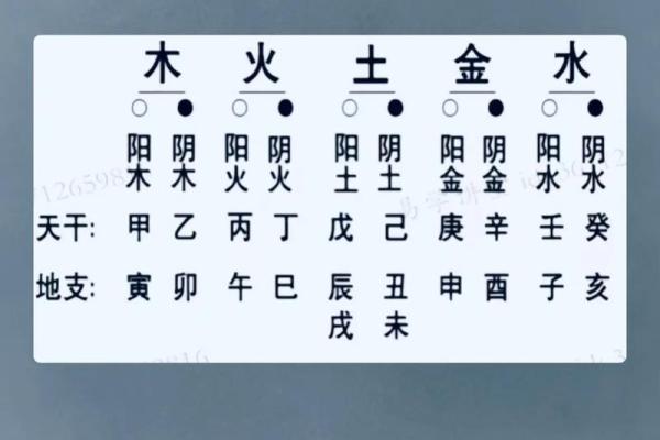 五行排八字