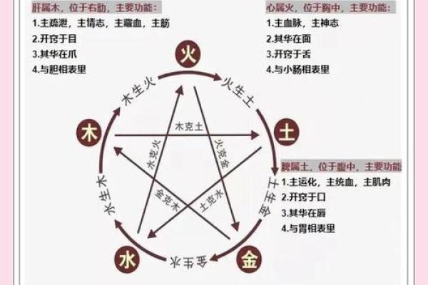 五行排八字
