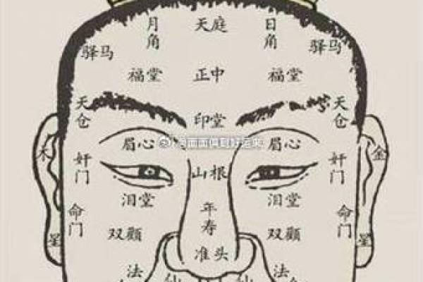面相图解-八字眉面相算命及特征