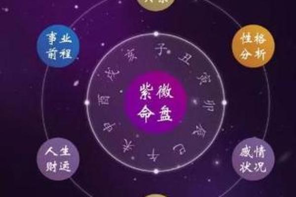 天厨紫薇斗数