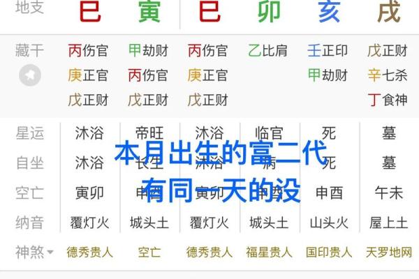 《甲木亥月性格解析及命运分析，详细揭秘八字特点》
