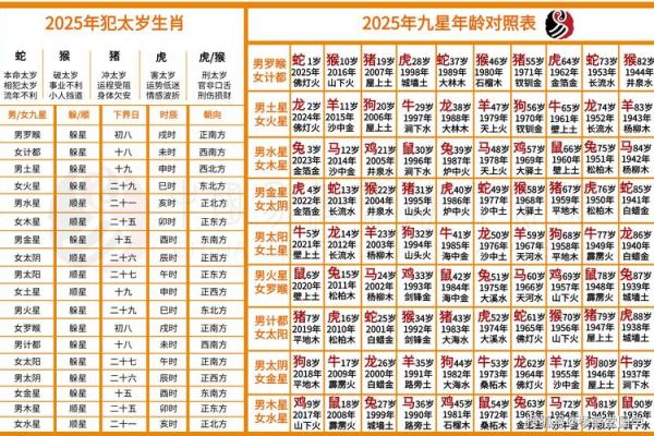算命讲究的是什么