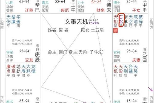 紫薇斗数算配偶