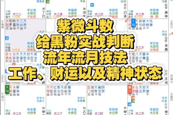 紫微斗数财政 紫微斗数里面的财星？