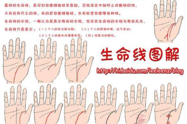 罕见的掌纹手相算命和图解