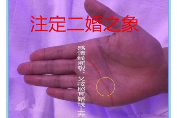 女人手相算命图解女人婚姻 婚姻线看感情生活