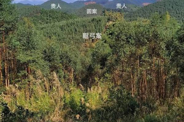 如何看坟地风水
