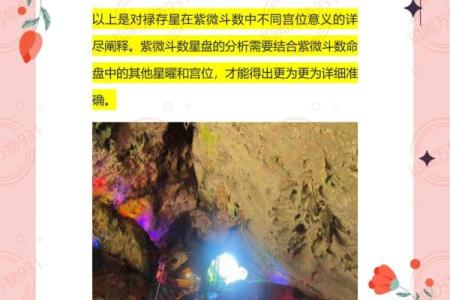 紫薇斗数 天同在官禄宫怎么解读