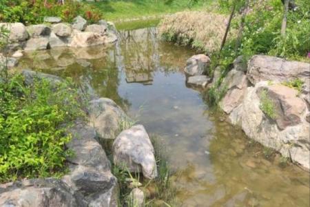小公园风水