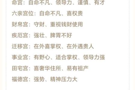 紫薇斗数意思
