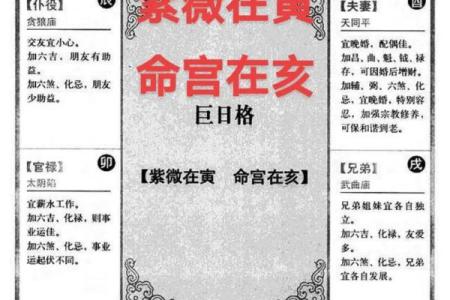 紫薇斗数的故事