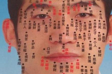 背部胎记算命图解