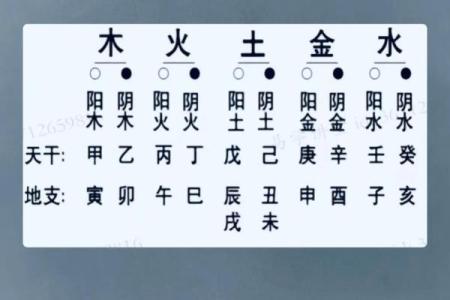 五行排八字