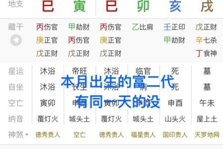 《甲木亥月性格解析及命运分析，详细揭秘八字特点》