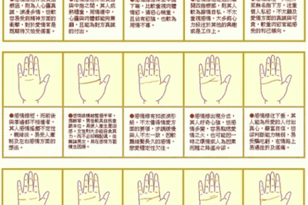 罕见的掌纹手相算命和图解